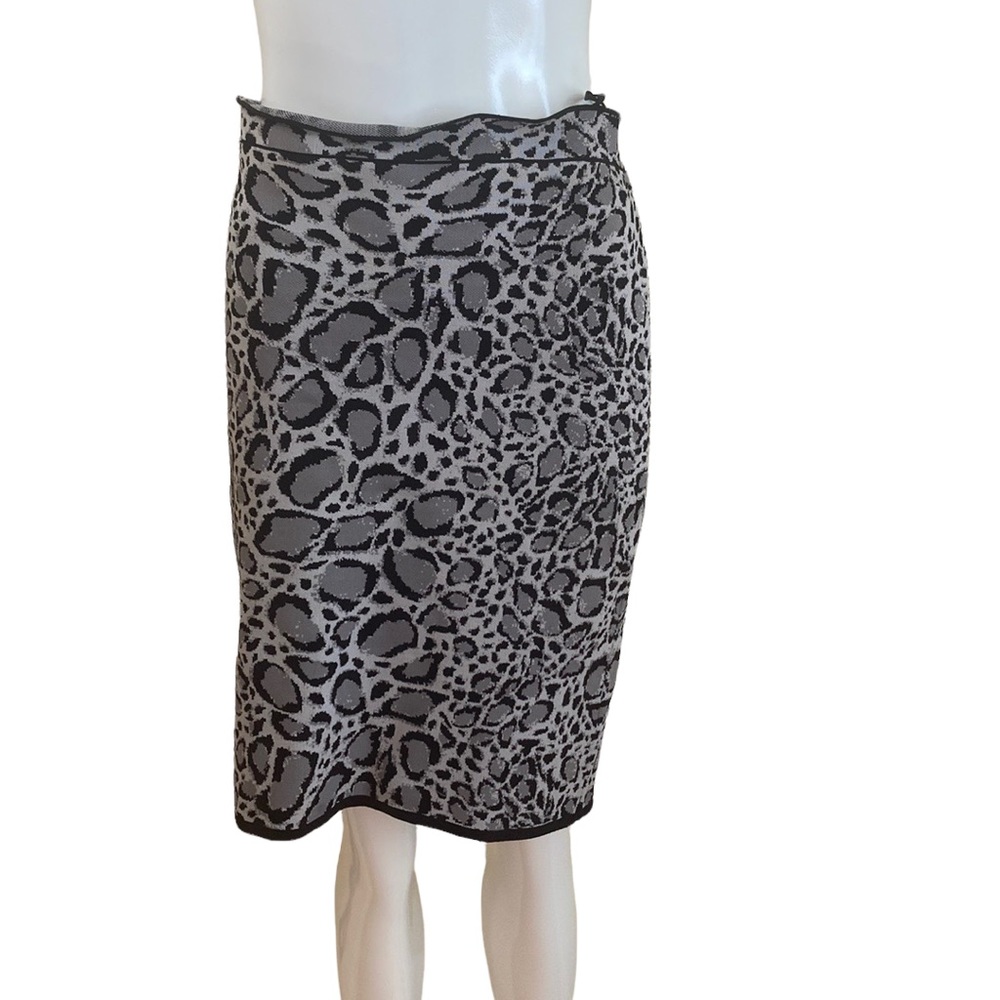 BCBG skirt